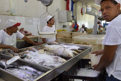 Panama, Panama City, quartier de Santa Ana, le marché aux poisson (Mercado de Mariscos)