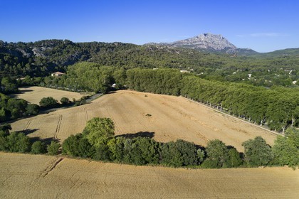 France, Bouches-du-Rhône (13), Pays d'Aix en Provence, vers le Tholonet, champ d'orge devant la Montagne Sainte Victoire, route Cézanne (vue aérienne)