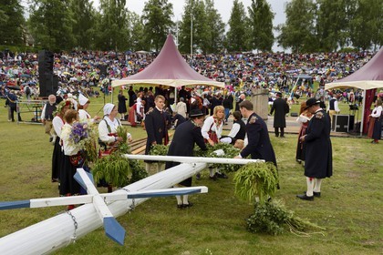 Suède, comté de Dalécarlie, les très populaires célébrations du solstice d'été à Leksand pour la Saint-Jean, préparation de l'arbre de mai