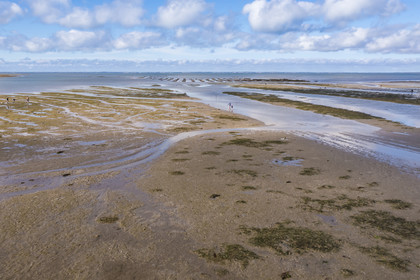 France, Vendée (85), île de Noirmoutier, Barbatre, pêche à pied sur l'estran en bordure du passage du Gois, chaussée submersible qui relie l'île au continent à marrée basse (vue aérienne)