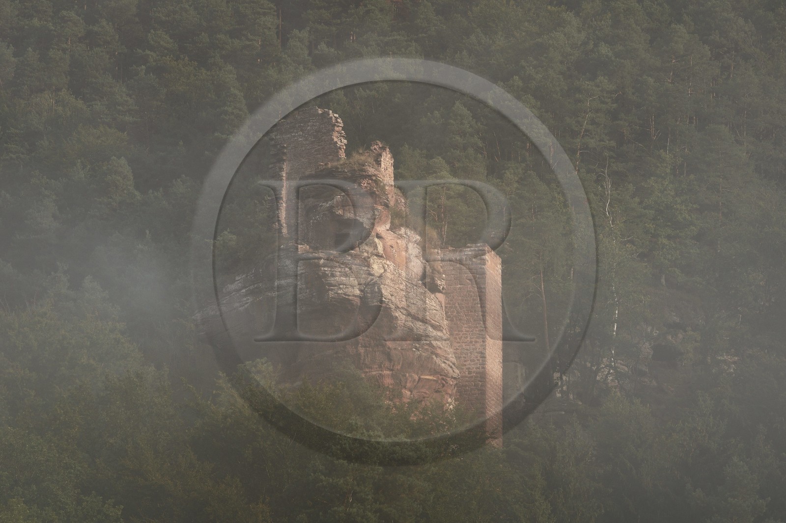France, Bas-Rhin (67), Parc naturel régional des Vosges du Nord, Obersteinbach, foret domaniale de Steinbach, les ruines du chateau du Petit-Arnsberg perché sur un rocher de grès dans la brume