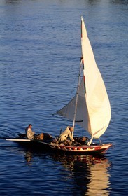 Egypt, Aswan, felucca on the Nile
