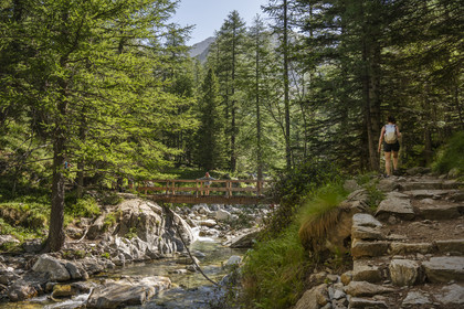 France, Alpes-Maritimes (06), parc national du Mercantour, Haute-Vésubie, Saint-Martin-Vésubie, Val du Haut Boréon, randonnée sur le GR 52 vers le refuge de Cougourde et traversée de la rivière du Boréon