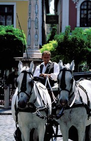 Hongrie, Comté de Pest, ville de Szentendre, Boucle du Danube, attelage sur la place principale