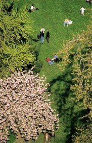 France, Paris (75019), parc des Buttes Chaumont
