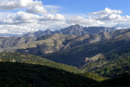 France, Haute Corse, Balagne, the Giussani valley in the Regional Natural Park, the Tartagine forest and Santa-Maria Assunta church at Pioggiola