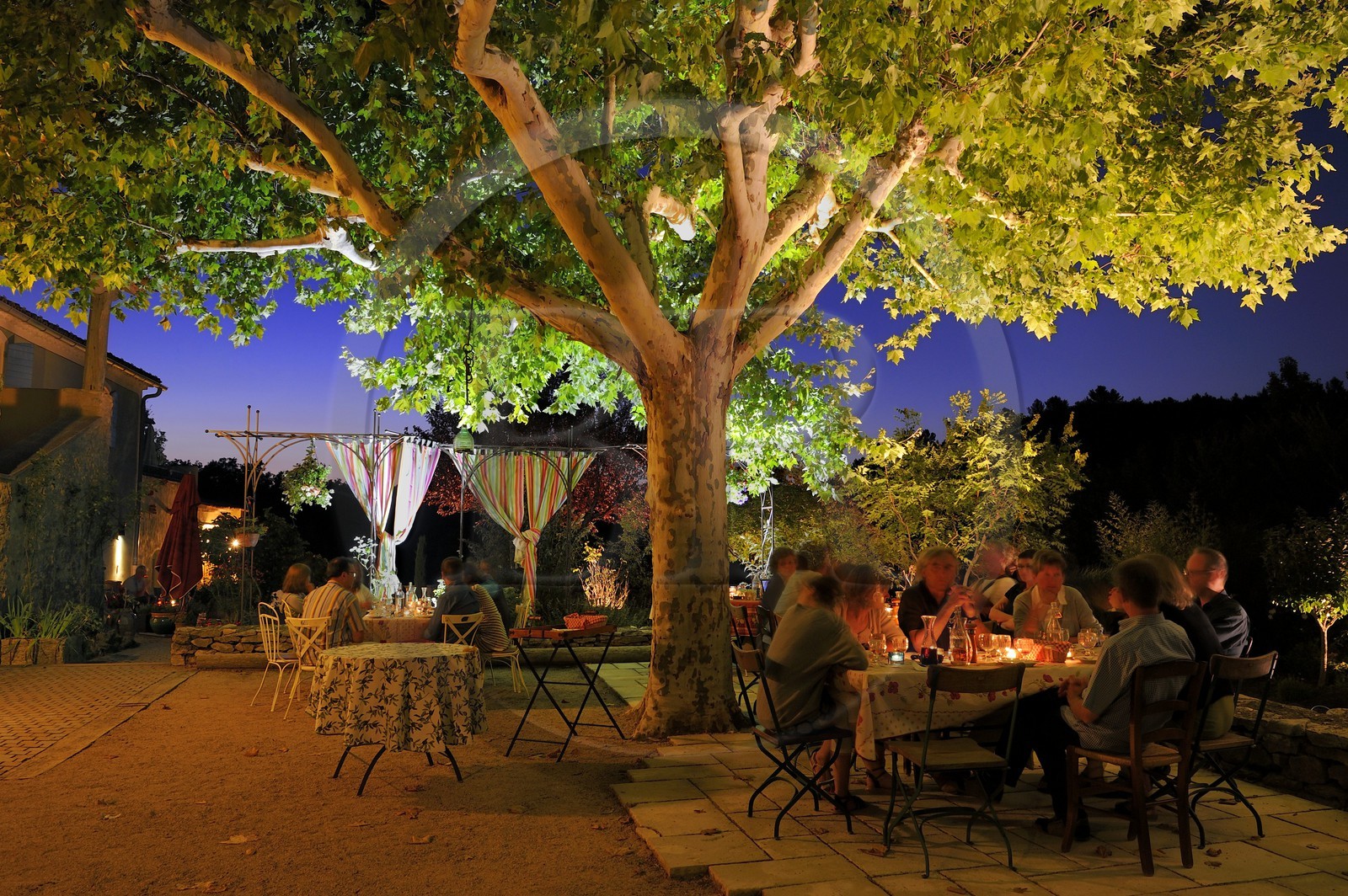 France, Var (83), Provence Verte, Bras, vers Saint-Maximin-la-Sainte-Baume, la maison d'hôtes Le Peyrourier une campagne en Provence, diner du soir en terrasse