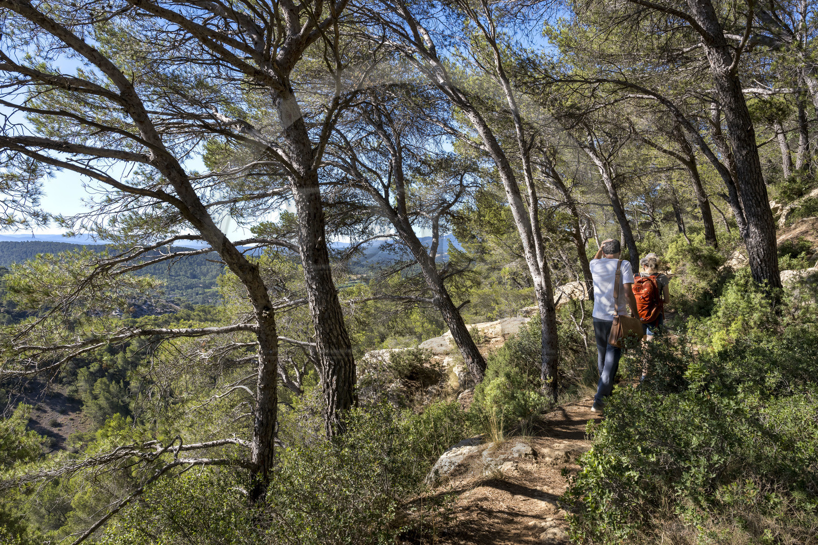 France, Bouches-du-Rhône (13), Aix en Provence, randonneurs sur le plateau de Bibemus