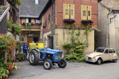 France, Haut-Rhin (68), Route des Vins d'Alsace, Hunawihr, labellisé Les Plus Beaux Villages de France, devant la maison d'un vigneron pendant les vendanges