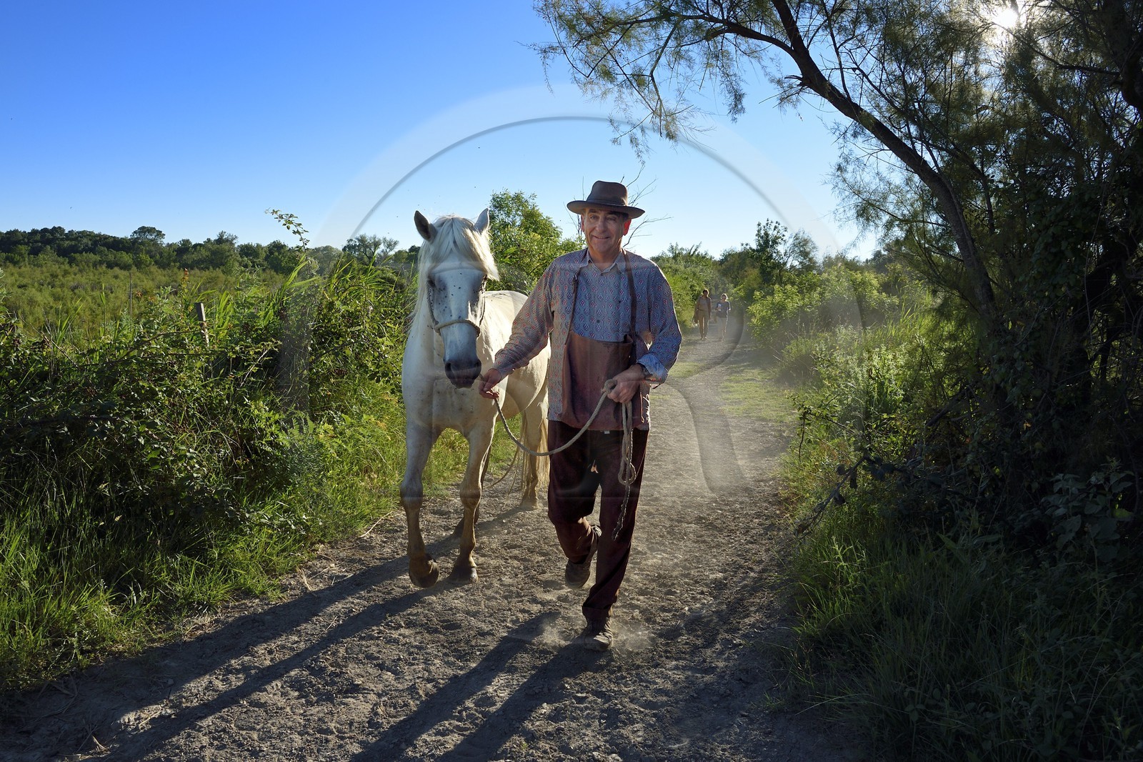 France, Bouches-du-Rhône (13), Parc naturel régional de Camargue, Mas du Menage, manade Saint Antoine (Cauzel), le gardian Régis Blayrat