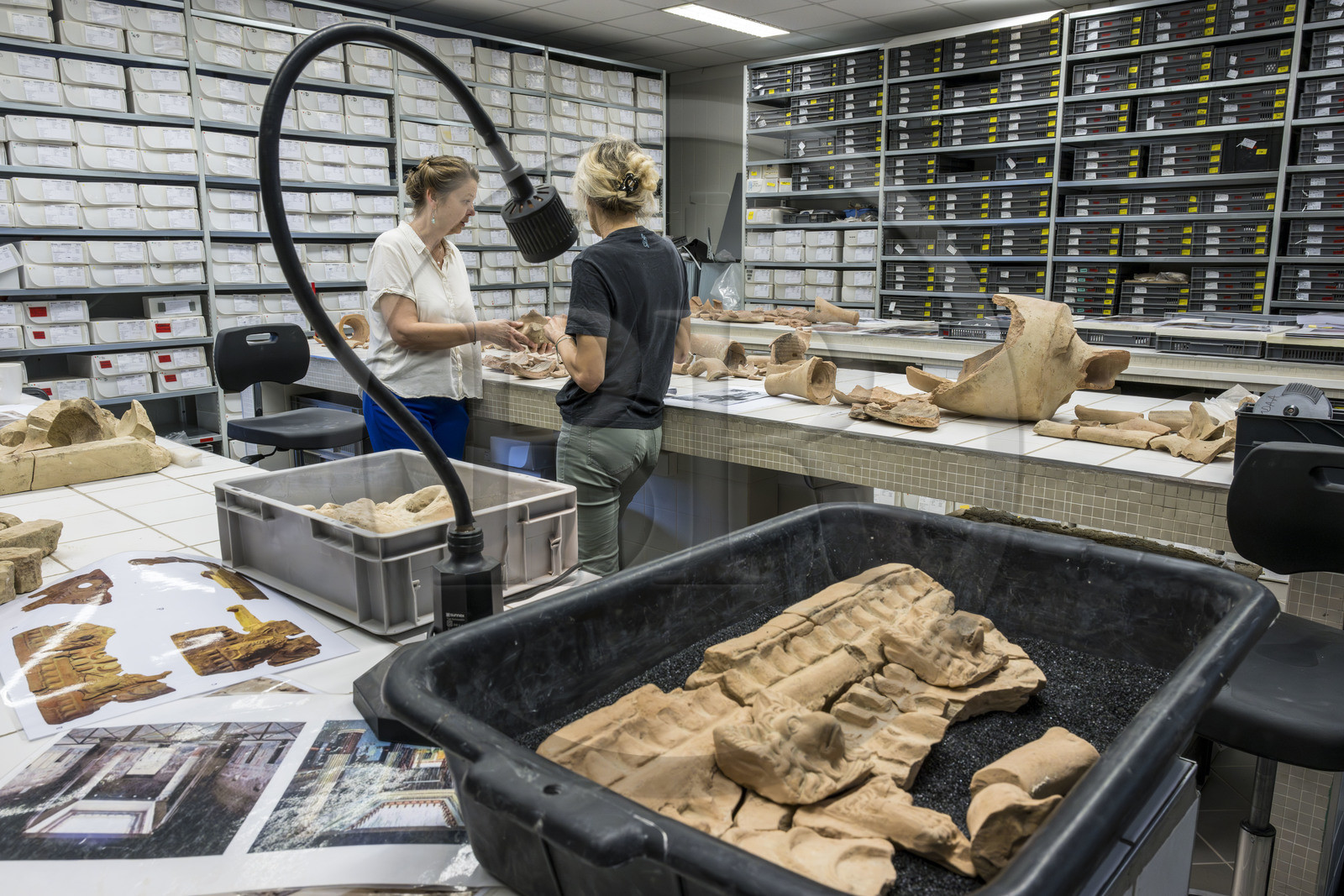 France, Bouches du Rhone, Arles, musée départemental Arles antique, study room of the archaeology department, research from the excavations of the site of the old Trinquetaille glassworks on the right bank of the Rhone, in the foreground house of the harpist (between 70 and 50 BC), protective dog figure in tile and gargoyles from the roof of the atrium