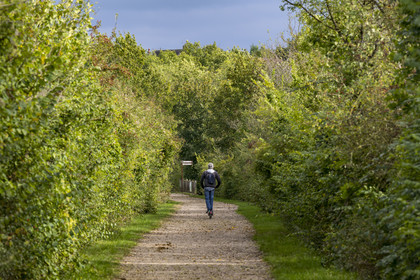 France, Yonne, Auxerre, the Green Belt which follows the old railway line linking Auxerre to Gien