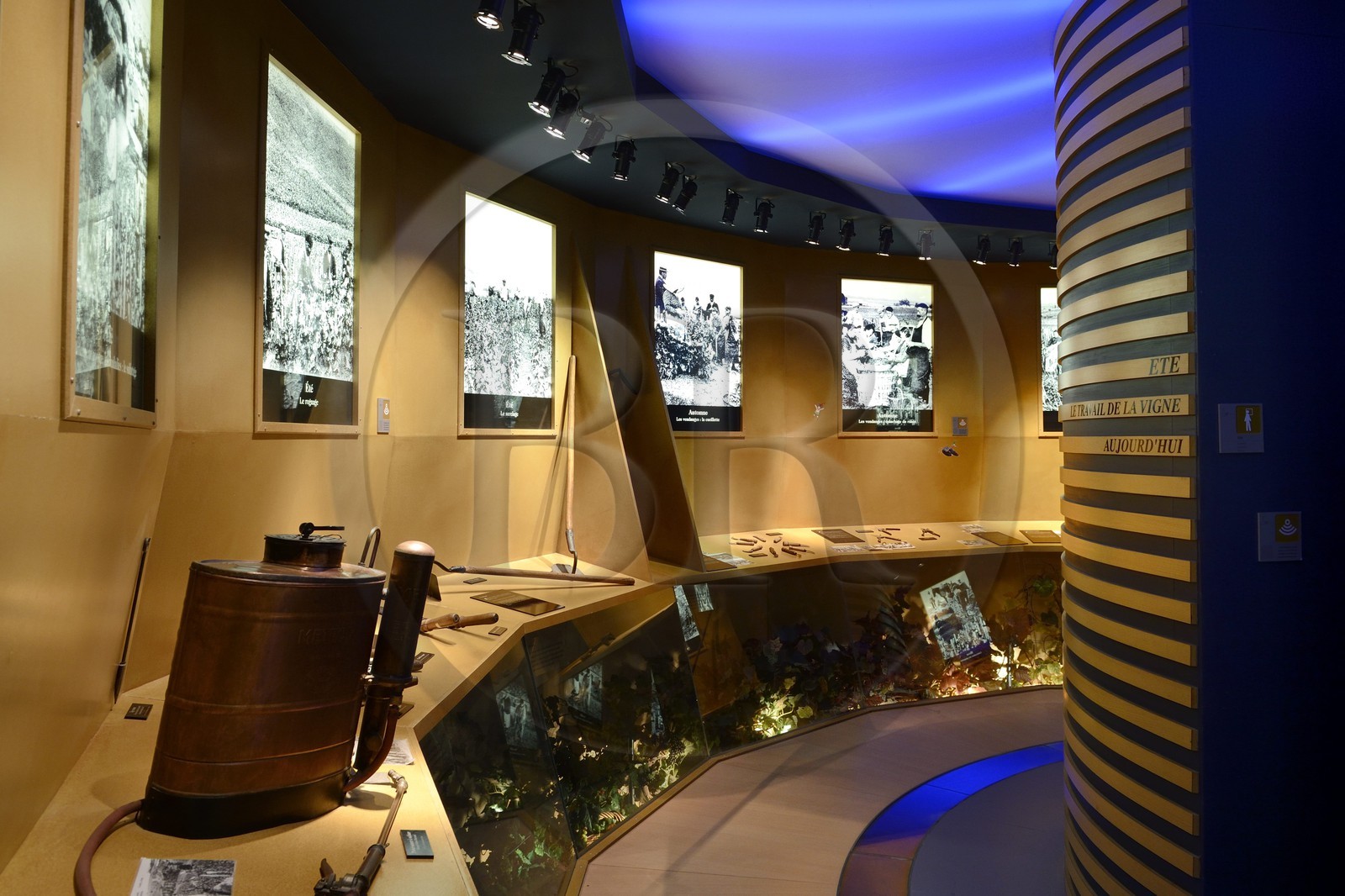 France, Marne (51), parc régional de la Montagne de Reims, Verzenay, musée du vin de Champagne