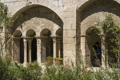 France, Bouches du Rhone, Regional Natural Park of the Alpilles, Saint Remy de Provence, Saint-Paul-de-Mausole monastery, where Van Gogh was interned in 1889-1890, the Romanesque cloister from the 11th and 12th centuries