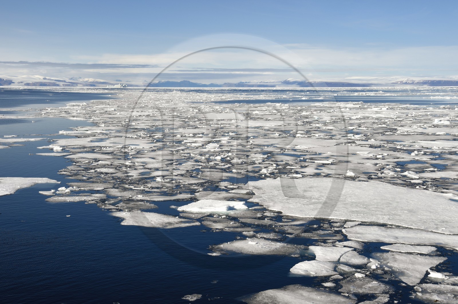 Groenland, cote Nord-Ouest, Smith sound au nord de la baie de Baffin, morceaux de glace de la banquise arctique et la côte canadienne de l'ile d'Ellesmere en arrière plan