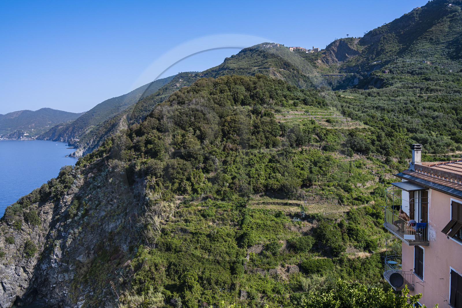 Italie, Ligurie, Cinque Terre, parc national des Cinque Terre classé Patrimoine Mondial de l'UNESCO, village de  Corniglia, vue sur la côte et le vignoble à l'Ouest, le hameau de San Bernardino en arrière plan en haut de la montagne