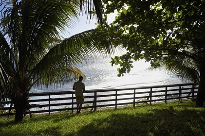 France, Ile de la Reunion, Petite-Ile sur la côte sud, jardin avec vue