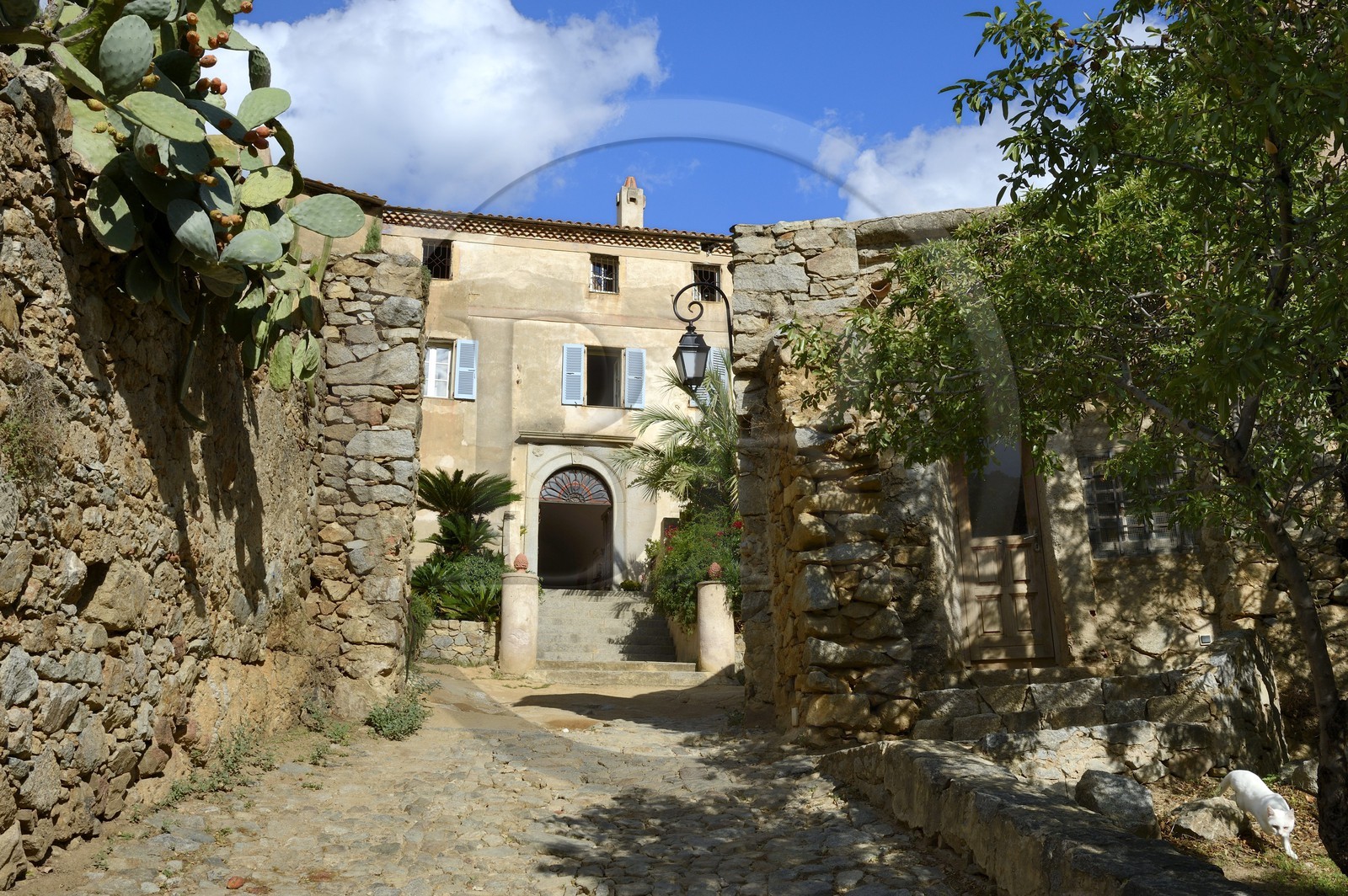 France, Haute-Corse (2B), Balagne, village perché de Pigna