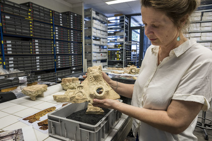 France, Bouches-du-Rhône (13), Arles, musée départemental Arles antique, salle d’étude du service archéologie, recherches des fouilles du site de l'ancienne verrerie de Trinquetaille sur la rive droite du Rhone, maison de la harpiste (entre 70 et 50 av. J.-C.), figure de chien protecteur en tuile et gargouilles de la toiture de l'atrium, l'archéologue Marie-Pierre Rothé