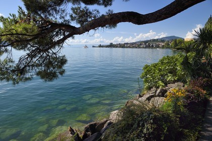 Suisse, Canton de Vaud, Montreux, sur les berges du Lac Léman, le bateau à vapeur à roues à aubes Montreux (1904) de la Compagnie générale de navigation sur le lac Léman (CGN)