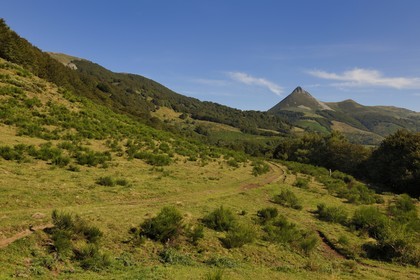 France, Cantal, Monts du Cantal, Parc Naturel Regional des Volcans d' Auvergne (Regional Nature Park of the Volcanoes of Auvergne), Saint Jacques des Blats on the Way of St. James to Santiago de Compostela by Via Arverna, the valley of the Cère and the Puy Griou (1694m)
