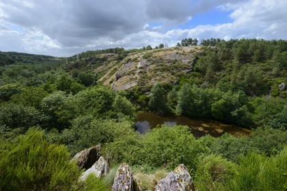 France, Morbihan, forest of Broceliande, Trehorenteuc, the Mare aux Fees (the Fairy Pond) of the Val sans Retour (Valley of No Return) is an enchanted land in which the powerful sorceress Morgan imprisoned her strumpet lovers
