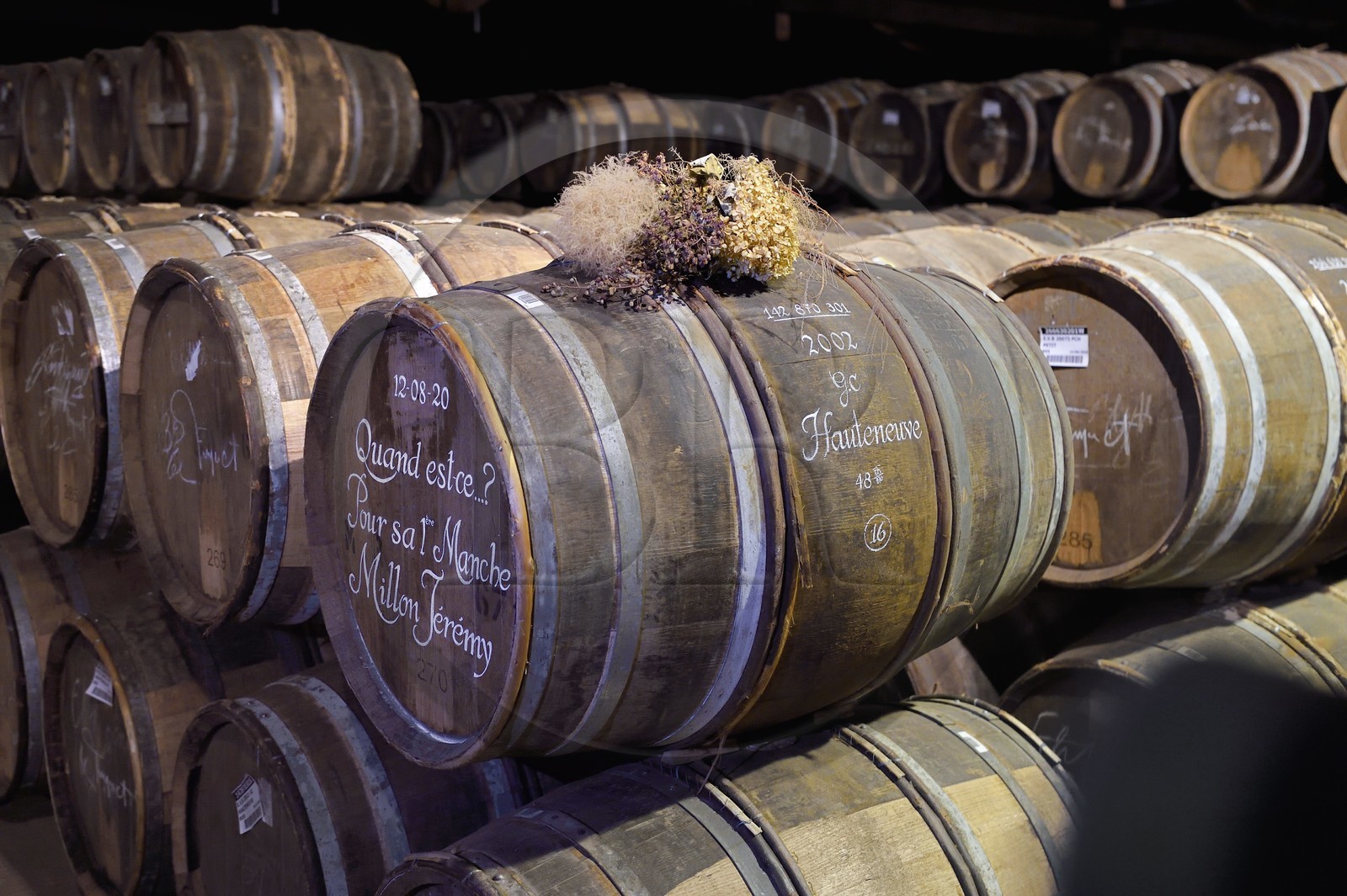 France, Charente (16), Cognac, les chais de vieillissement de la Maison de cognac Hennessy, tonneaux calligraphiés à l'ancienne à la craie