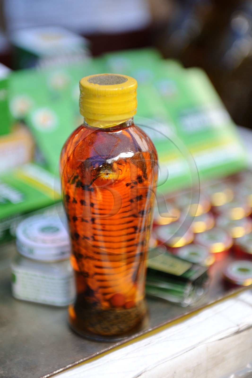 Vietnam, province de Lao Cai, marché de Sapa, petite bouteille d'alcool de riz contenant un cobra