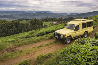 Rwanda, Province de l’Ouest, Gisakura, 4x4 sur une piste traversant une plantation de thé, le lac Kivu et les montagnes de la République démocratique du Congo en arrière plan