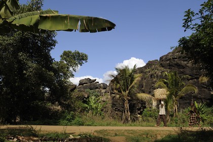 Tanzania, Morogoro district, Uluguru mountains, the Matombo track
