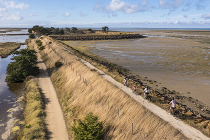 France, Vendée (85), île de Noirmoutier, Barbatre, cyclistes sur la digue de la côte Est à marrée basse (vue aérienne)