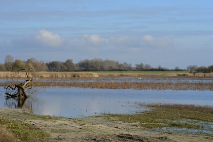 France, Indre, Berry, Parc Naturel Regional de la Brenne (Natural Regional Park of La Brenne), Purais pond