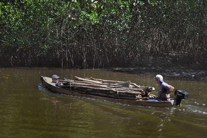 Nicaragua, la côte pacifique de Leon, pirogue chargée de bois dans la mangrove du parc national Isla Juan Venado