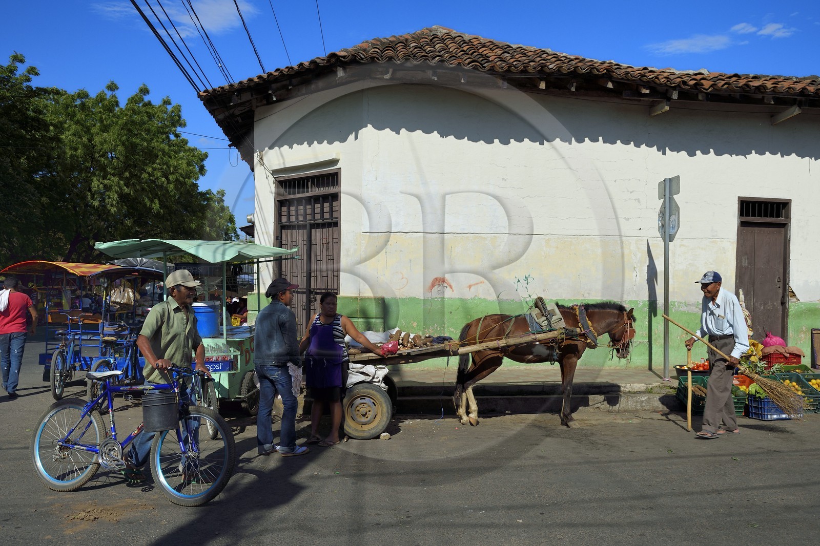 Nicaragua, Leon, quartier de Sutiaba, vendeuse de légumes aux abords du marché