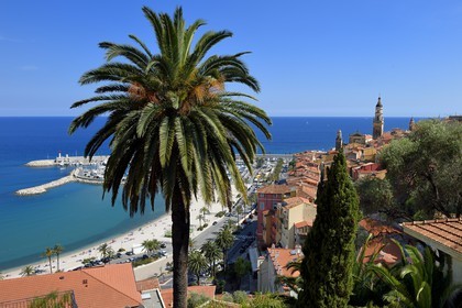 France, Alpes-Maritimes, Menton, old town dominated by the St Michel Basilica