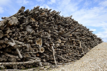 Sweden, Vasterbotten County, Holmsund seaport of Umea, cubic meters of timber at the harbor