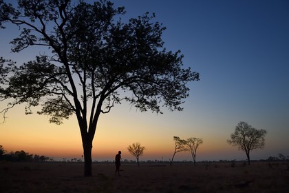Zimbabwe, Matabeleland North Province, Hwange National Park, Wilderness Safaris Davison's Camp, sunrise in the savannah