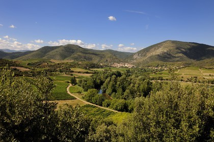 France, Hérault (34), vallée de l' Orb, village de Roquebrun au lointain et vignoble AOC Saint-Chinian & Roquebrun