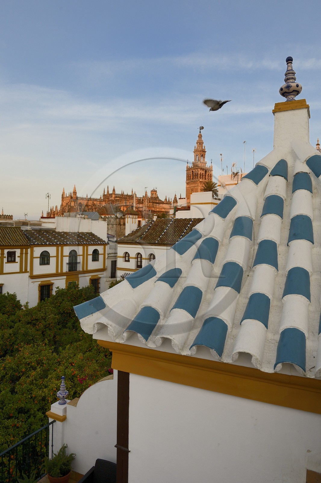 Espagne, Andalousie, Séville, quartier de Santa Cruz, plaza de Dona Elvira et La Giralda en arrière plan