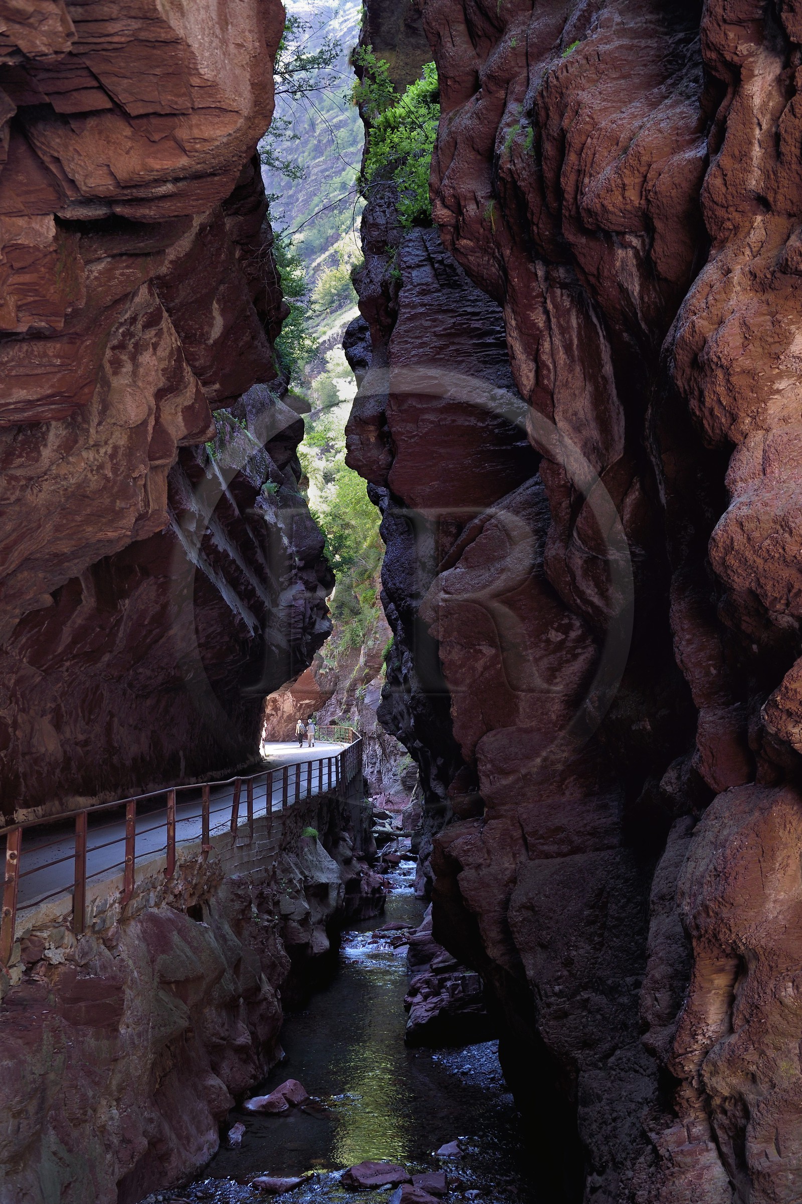 France, Alpes-Maritimes (06), Massif du Mercantour, site natura 2000, Gorges du Cians creusées par le Cians dans des sols de pélite rouge, portion de l'ancienne route aujourd'hui abandonnée au lieu dit La Grande Clue France, Alpes-Maritimes (06), Massif du Mercantour, site natura 2000, Gorges du Cians creusées par le Cians dans des sols de pélite rouge, portion de l'ancienne route aujourd'hui abandonnée au lieu dit La Grande Clue