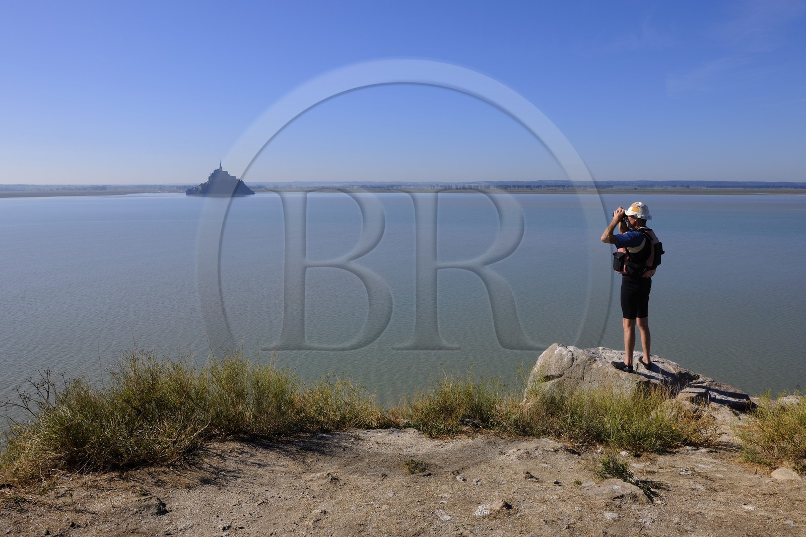 France, Manche (50), Baie du Mont-Saint-Michel, le Mont vu depuis l'ile de Tombelaine