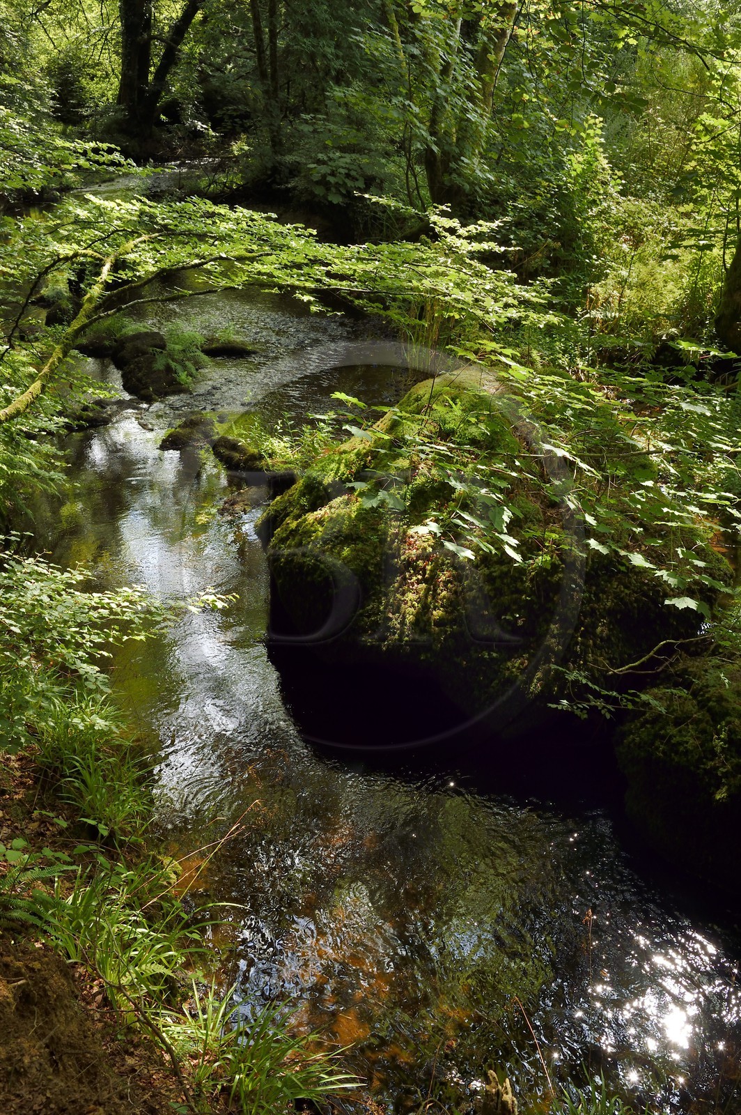 France, Finistère (29), parc naturel régional d'Armorique, Huelgoat, chaos granitique de la forêt du Huelgoat, la forêt se reflète dans l'eau de la rivière d'Argent qui prend parfois une couleur rouge sang