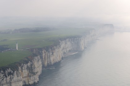 France, Seine-Maritime, Pays de Caux, Cote d'Albatre, cattle herd along the cliffs south of Etretat (aerial view)