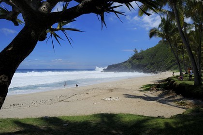 France, île de la Réunion, la côte sud, plage de Grand-Anse