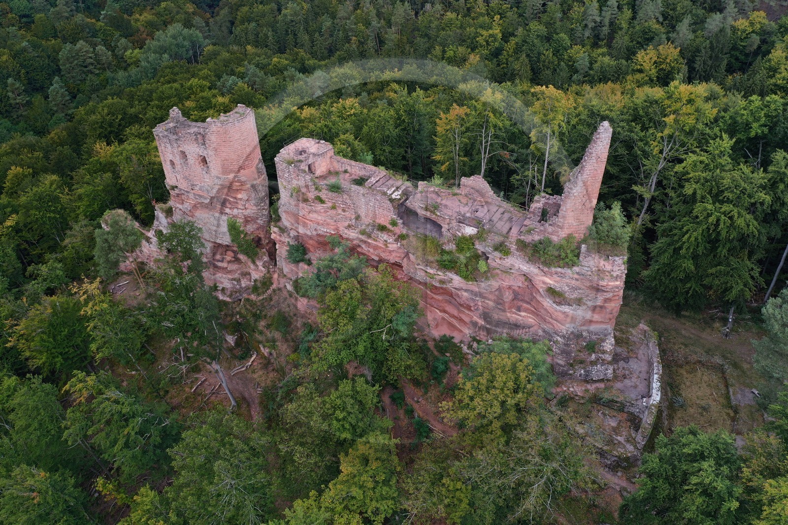 France, Bas-Rhin (67), Parc naturel r France, Bas-Rhin (67), Parc naturel r