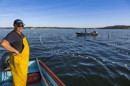 France, Hérault (34), Sète, quartier de la Pointe Courte, le pêcheur Robert Rumeau relève ses filets sur l'étang de Thau