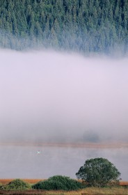France, Doubs, fishermen on the Saint Point lake in early hours mist