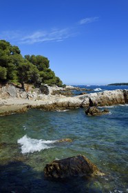 France, Alpes-Maritimes, Lerins Islands, Sainte-Marguerite island, Dragon point