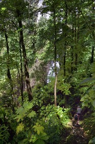 Caraïbes, Ile de la Dominique, Parc national du Morne Trois Pitons classé Patrimoine Mondial de l'UNESCO, randonnée au cœur de la forêt tropicale menant à la cascade des Middleham Falls, sentier de randonnée Waitukubuli qui traverse l’ile