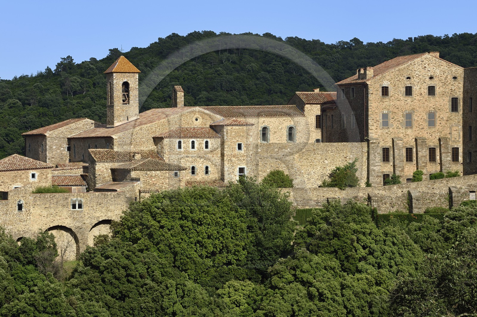 France, Var (83), Massif des Maures, Collobrières, chartreuse de la Verne